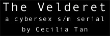 The Velderet,  a cybersex s/m serial by Cecilia Tan