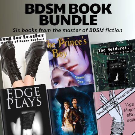 BDSM book bundle